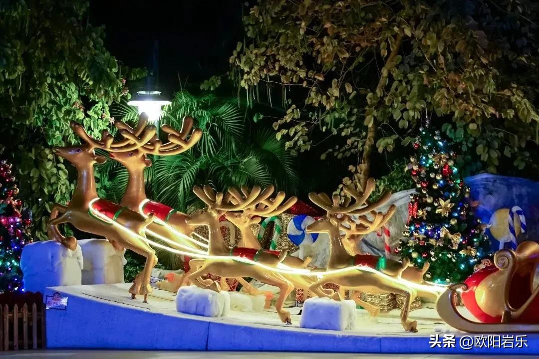 圣诞节好去处国外游,圣诞节推荐去什么地方玩