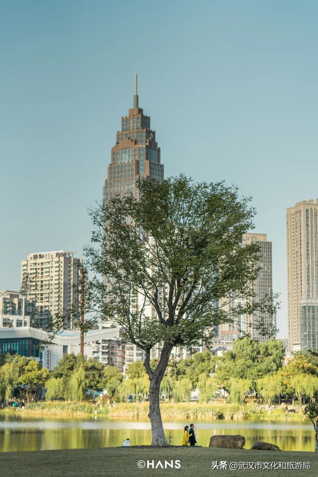 离武汉人最近的湿地，家楼下的10个宝藏小湖
