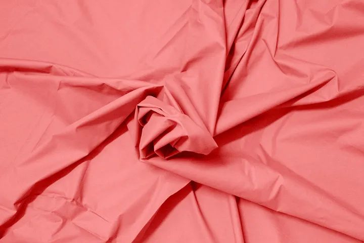 2019年羽绒行情的走势,羽绒出口