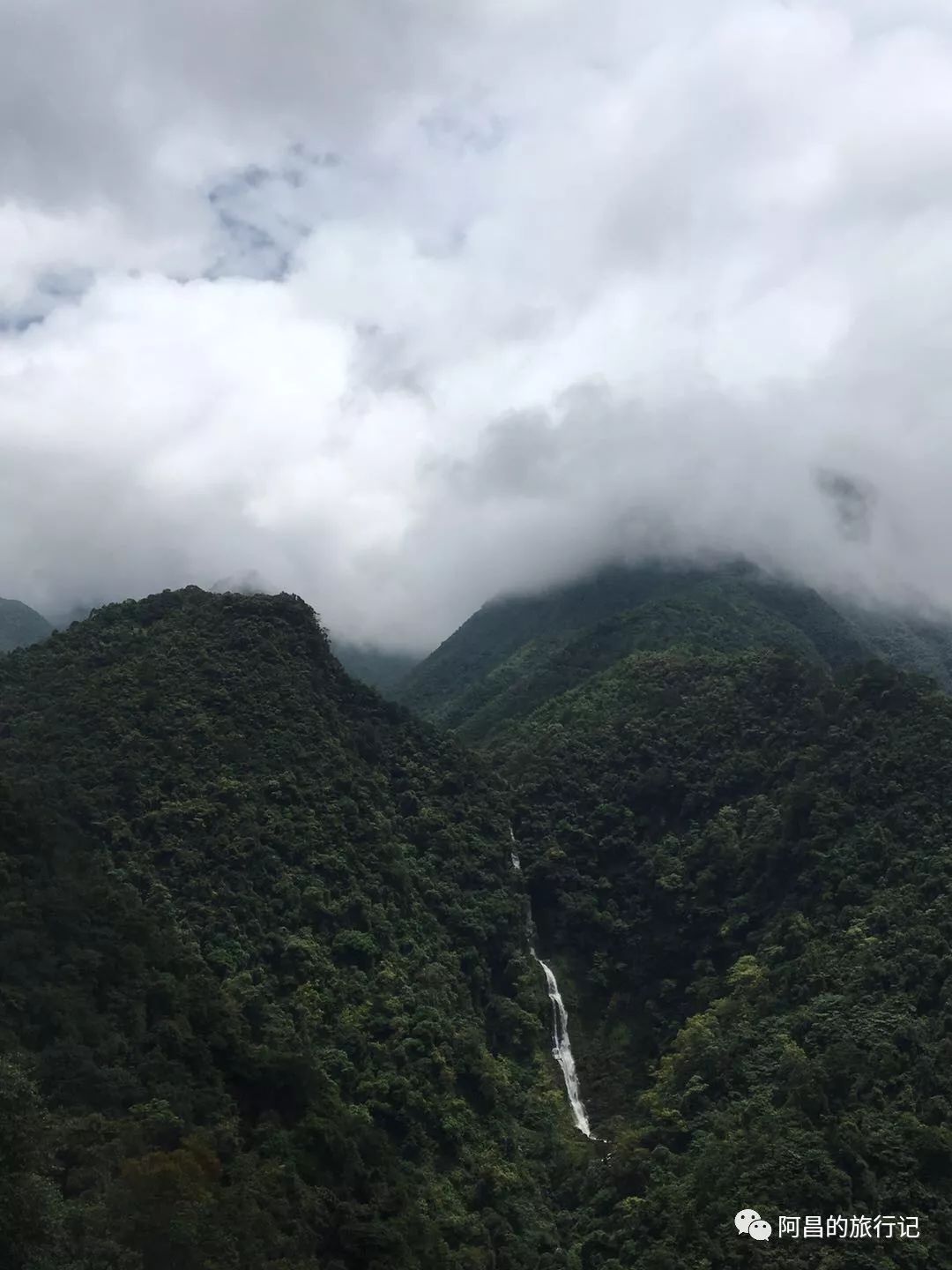 广西十万大山国家森林公园,广西十万大山国家森林公园图片