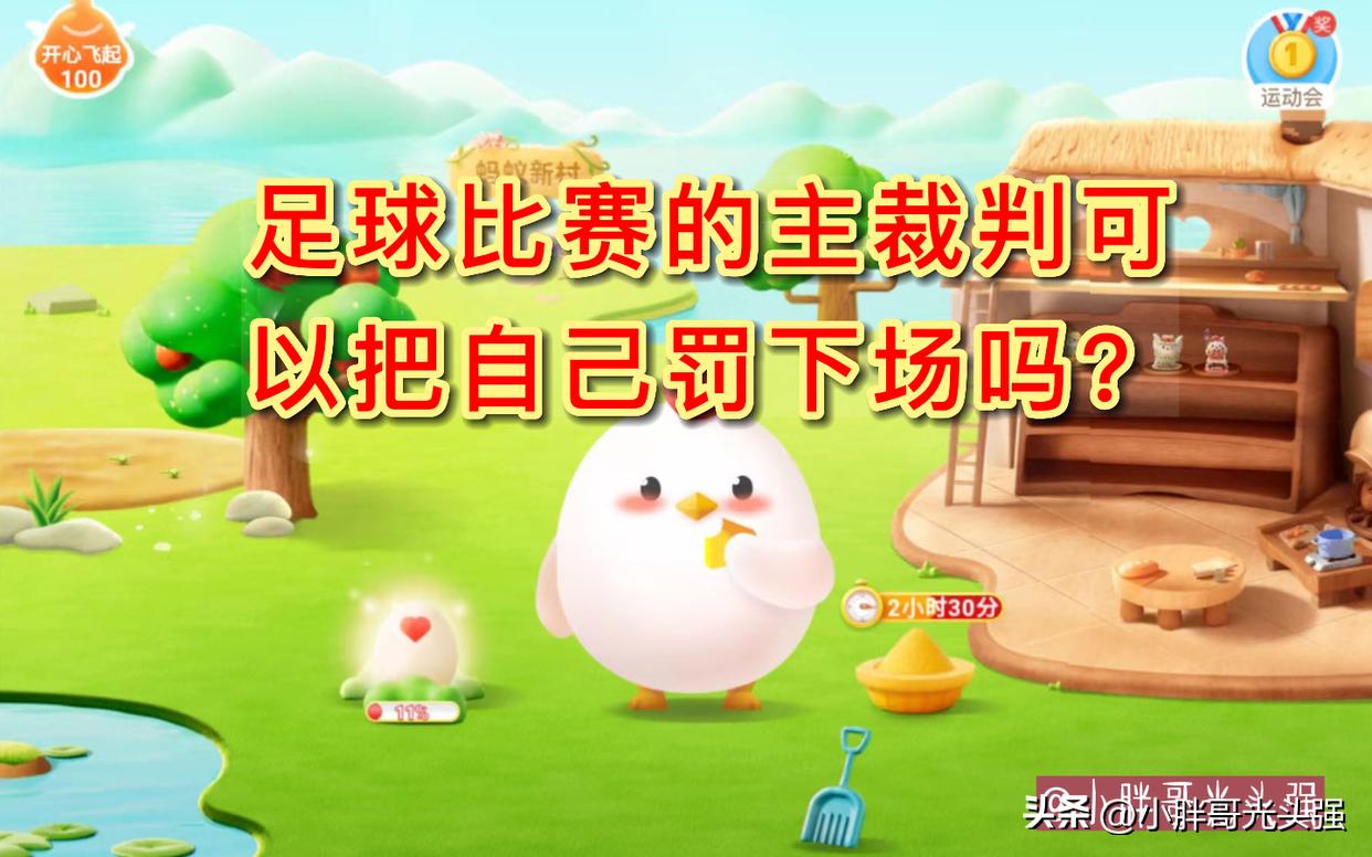 足球比赛离场判罚,足球比赛裁判直接判负