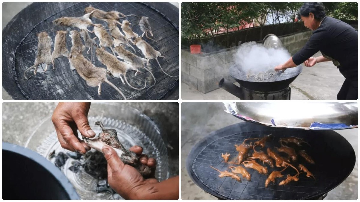 地方奇葩特色美食集锦,这些地方特色美食你吃过哪几样