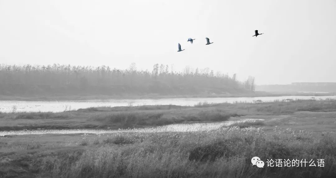 魏晋绝世美男,魏晋第一美男子动漫