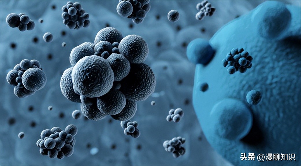 细菌感染会影响体内胰岛素吗,植物乳杆菌会对人体有影响吗