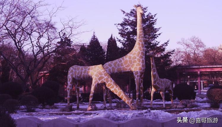 辽宁旅游景点推荐自驾游路线攻略,沈阳铁西必去免费景点攻略