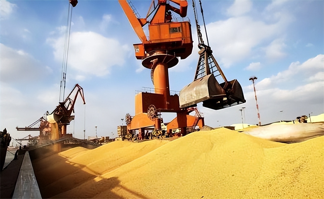 种子战争的危机,种子危机到底多可怕