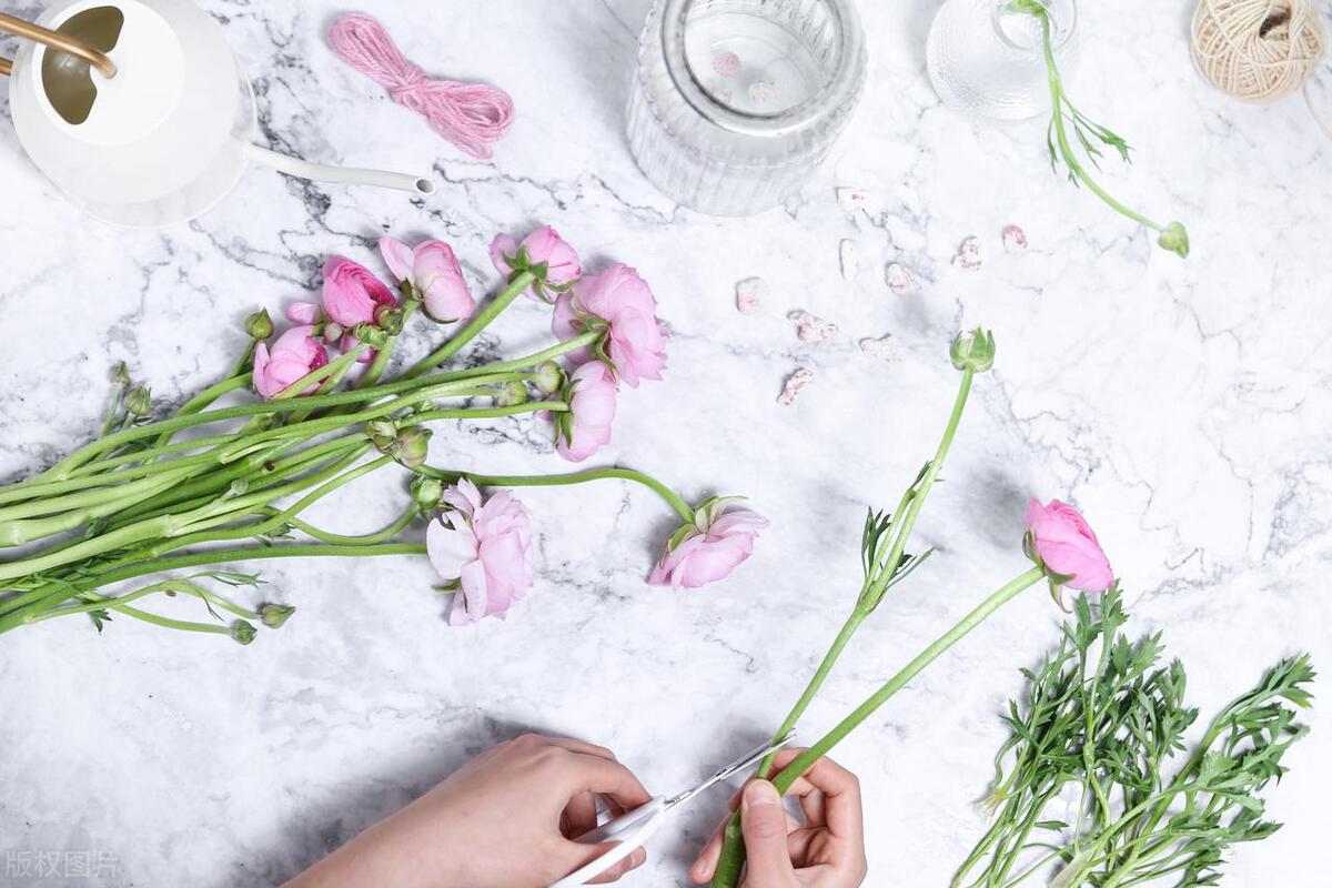 怎样醒花和保存鲜花,怎么醒花让花活得久一点