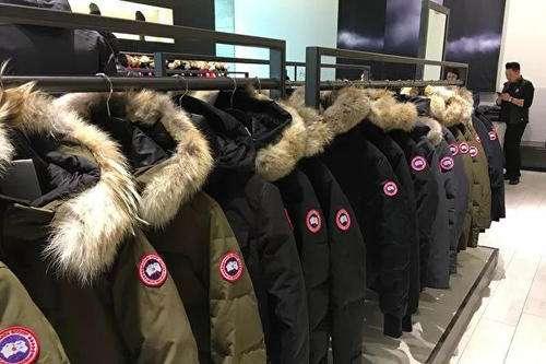 蒙口和大鹅波司登哪个档次高,加拿大鹅跟波司登对比