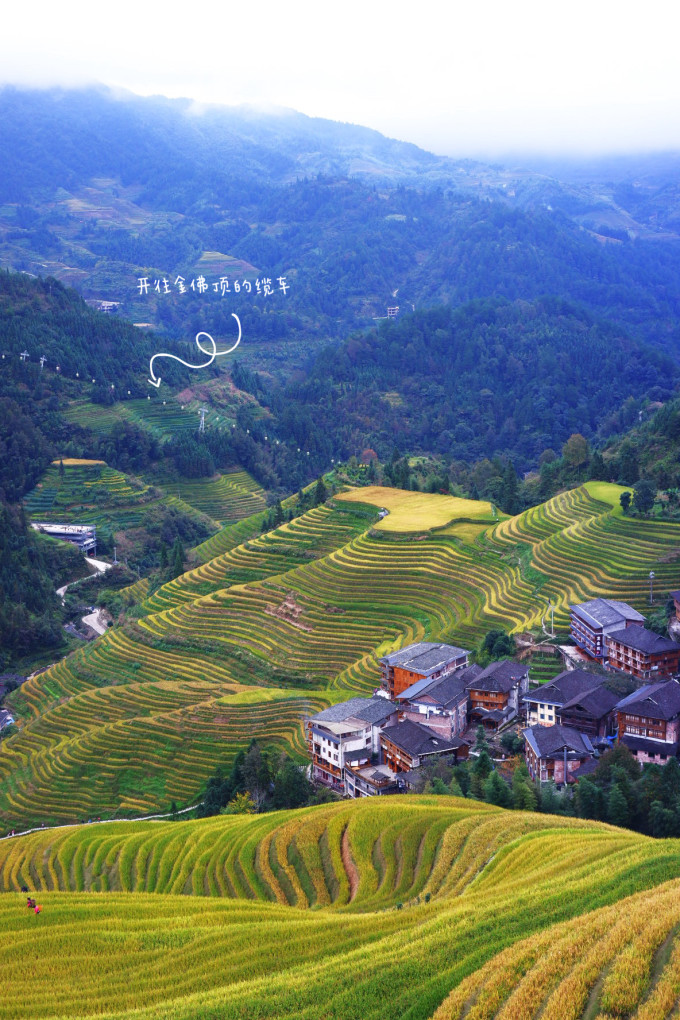 广西梯田龙脊梯田,龙脊梯田世界一绝美不胜收