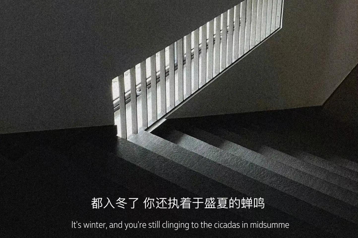 天蝎座细节里的爱,天蝎座注重细节和仪式感吗