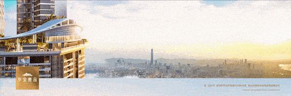 岁宝壹品户型2019,深圳岁宝壹品小户型