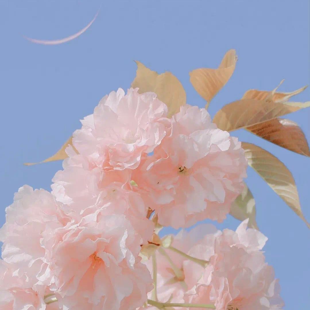 土星换座这三年对星座的影响大吗,土星换座是什么星座