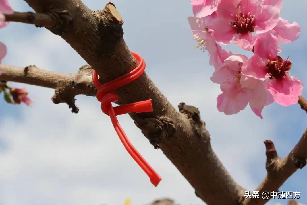 行业难题及解决方案,行业中的挑战与破局之道