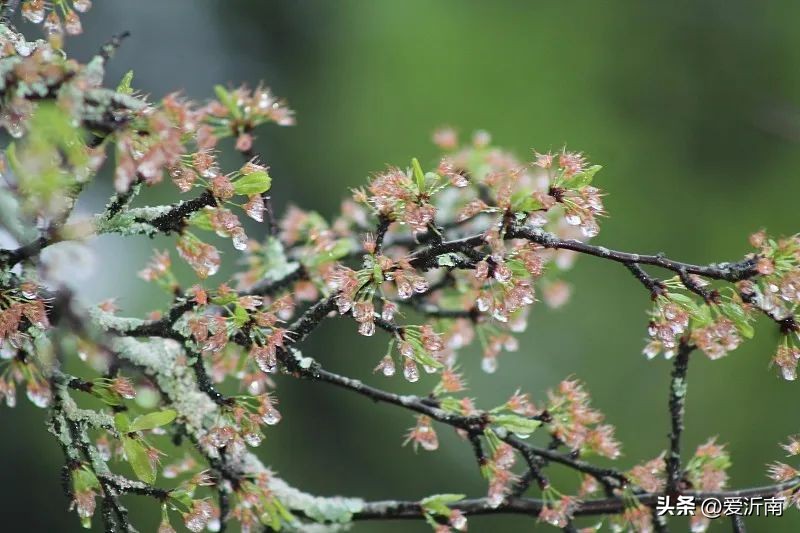 100个描写天气的词语,20个描写天气的雅称