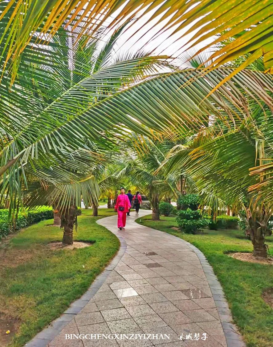 旅居海南,旅居式旅游生活海南