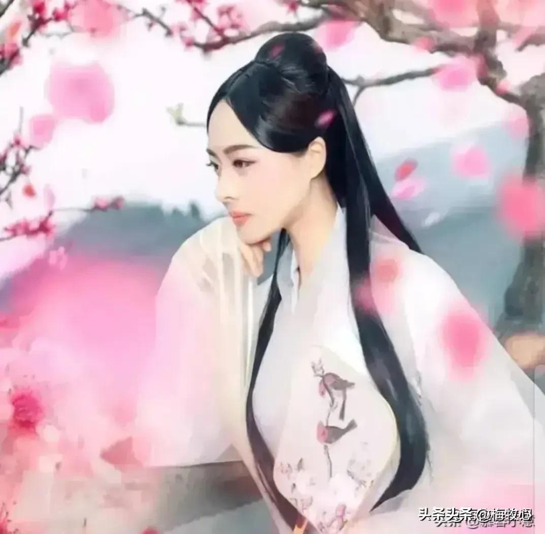 紫石金麟|咏梅七律三十韵②（二叠韵合集）