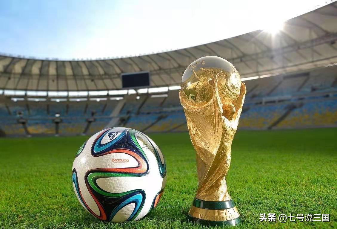 进入过世界杯的国家有哪些,进世界杯的国家有多少个