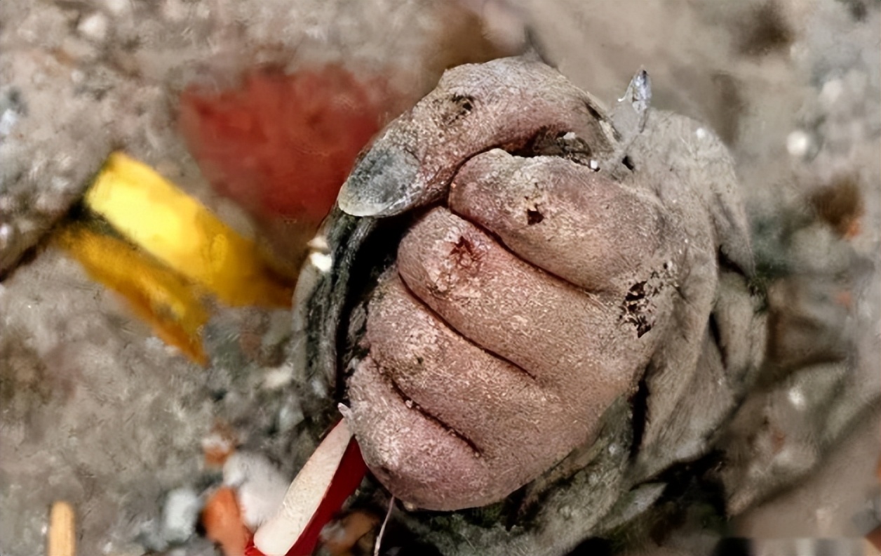 回顾汶川地震的15个感人瞬间,汶川地震的感人瞬间