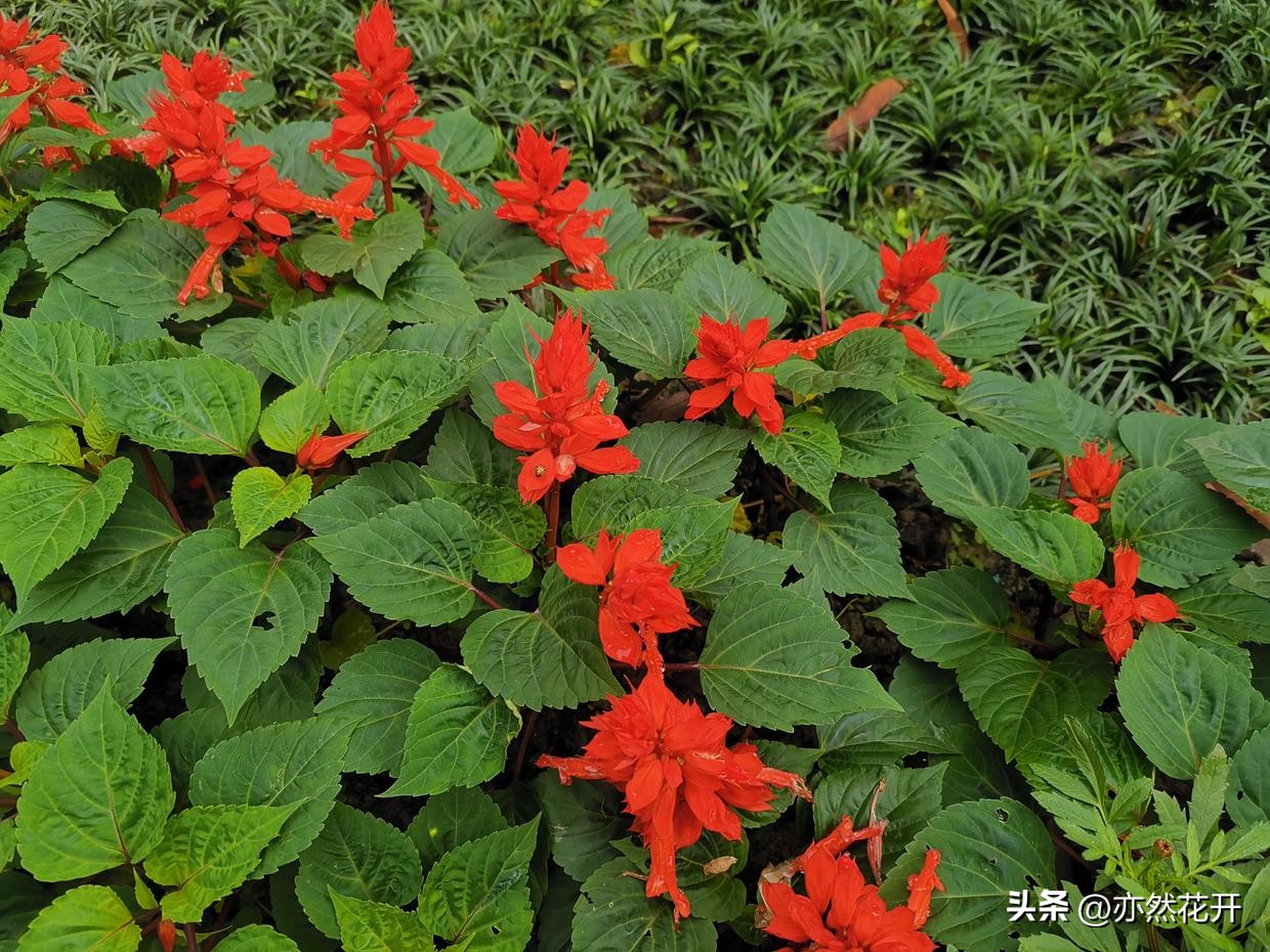 简报写作上有什么要求和方法,简报写作要点技巧