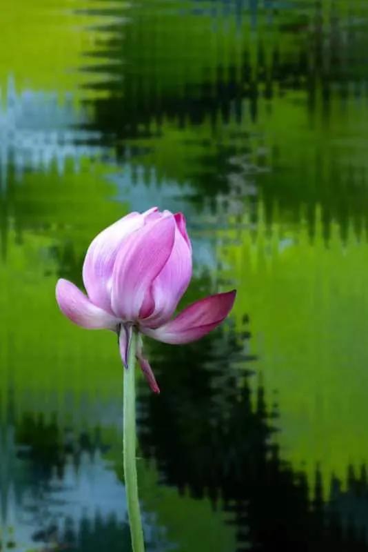 如何学到投资的知识和技巧,教你学习投资方法