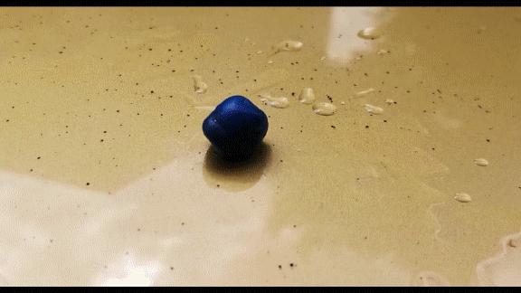 走皮皮虾！我们洗车去——我的洗车装备EDC