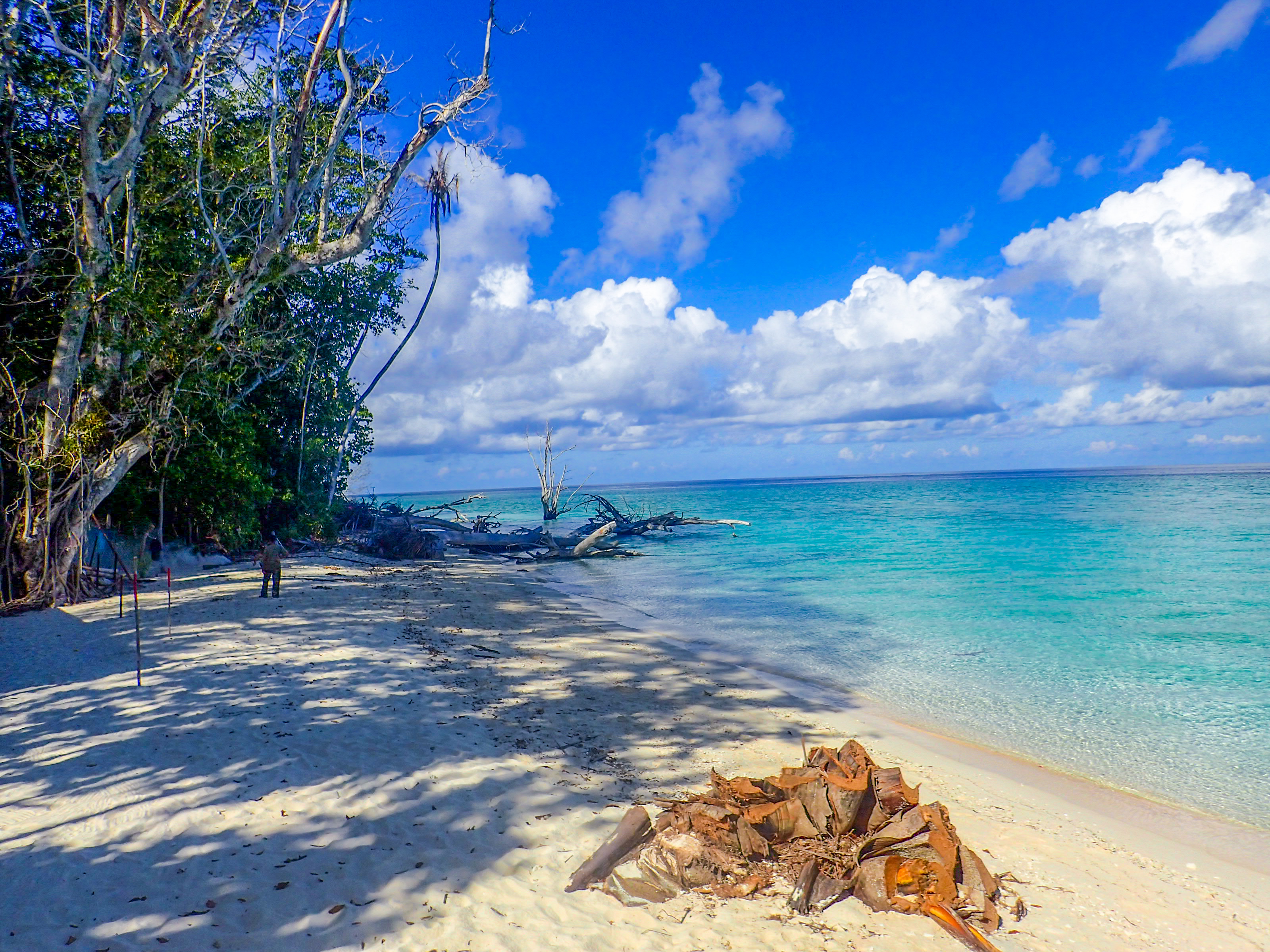 马来西亚仙本那海底,潜水马来西亚仙本那