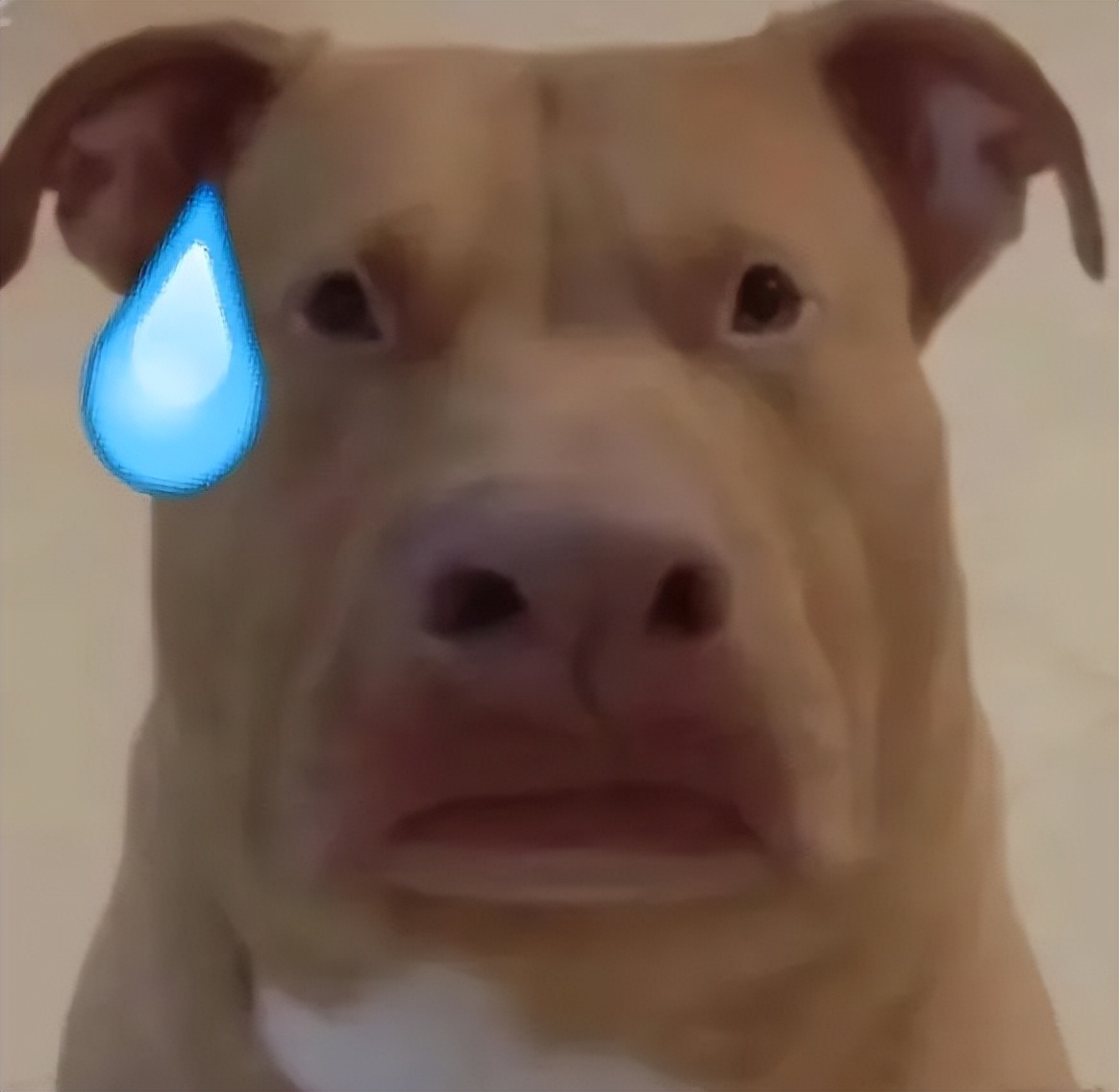 华为应用市场停用了,华为应用市场现在有多少个应用