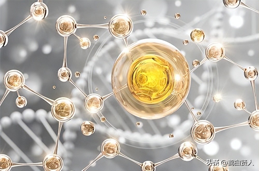 蓝藻的前世今生,蓝藻前世今生