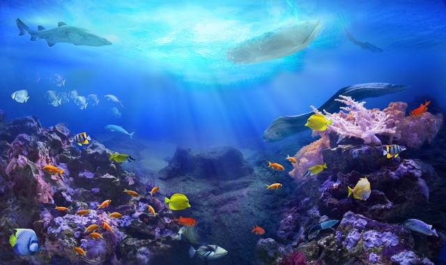 帕劳和哪个国家关系好,帕劳是个什么样的国家