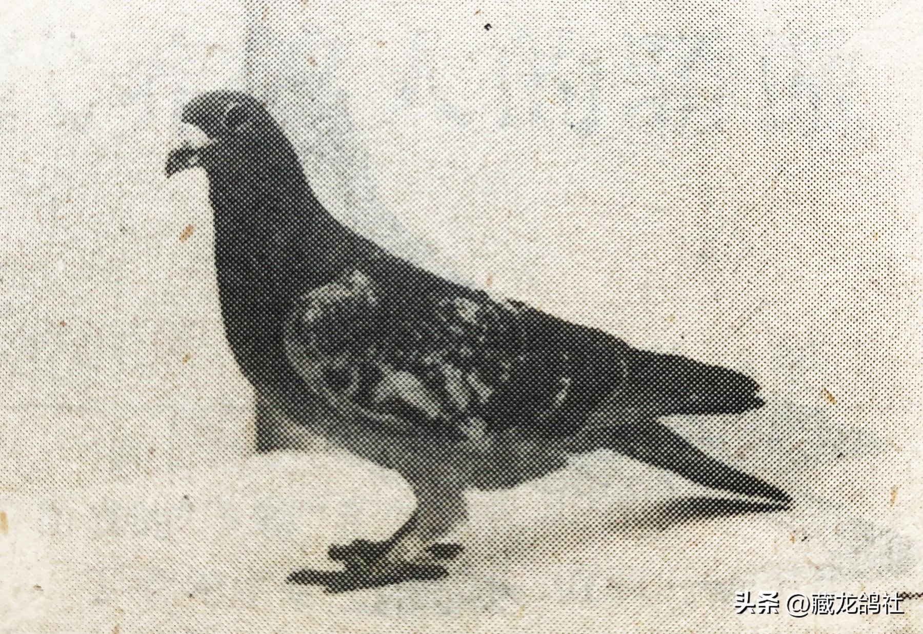 十年磨一剑研发海思芯片,十年磨一剑精心铸精品