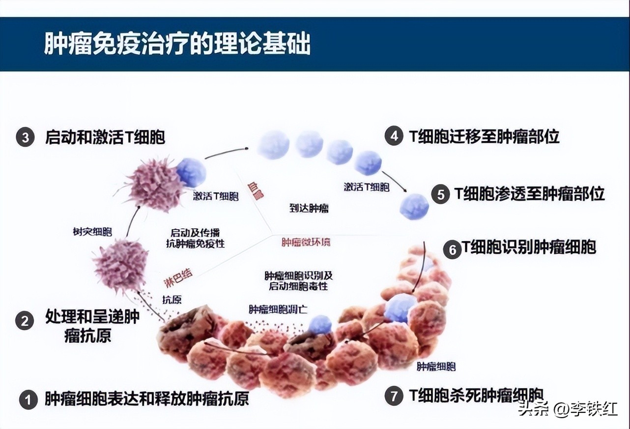 gp96治疗肿瘤,gp96预防癌症效果