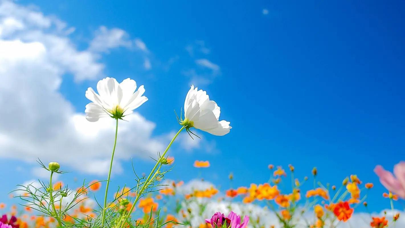 新手小白如何搭建自媒体账号,自媒体账号矩阵如何搭建