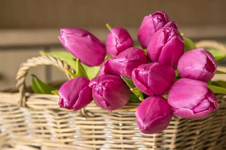 取悦自己最简单和有效的方式,取悦自己最好的方式就是消费