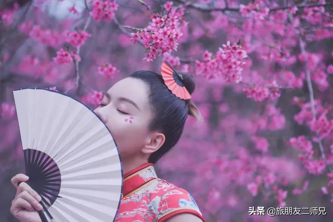 广州花都梯田油菜花,广州徒步赏油菜花路线