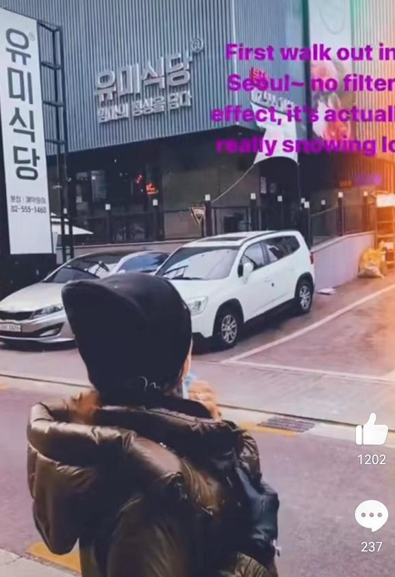 吉娜素颜,吉娜素颜综艺