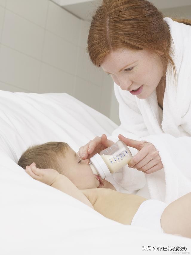 如何从配料表看驼奶粉质量,驼奶粉配料表有驼乳粉