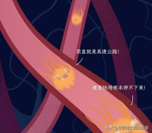 做妇科的活检是什么,妇科做活检是什么