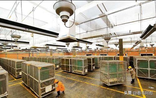 女子被12只蜱虫咬,美国女子被虫子咬