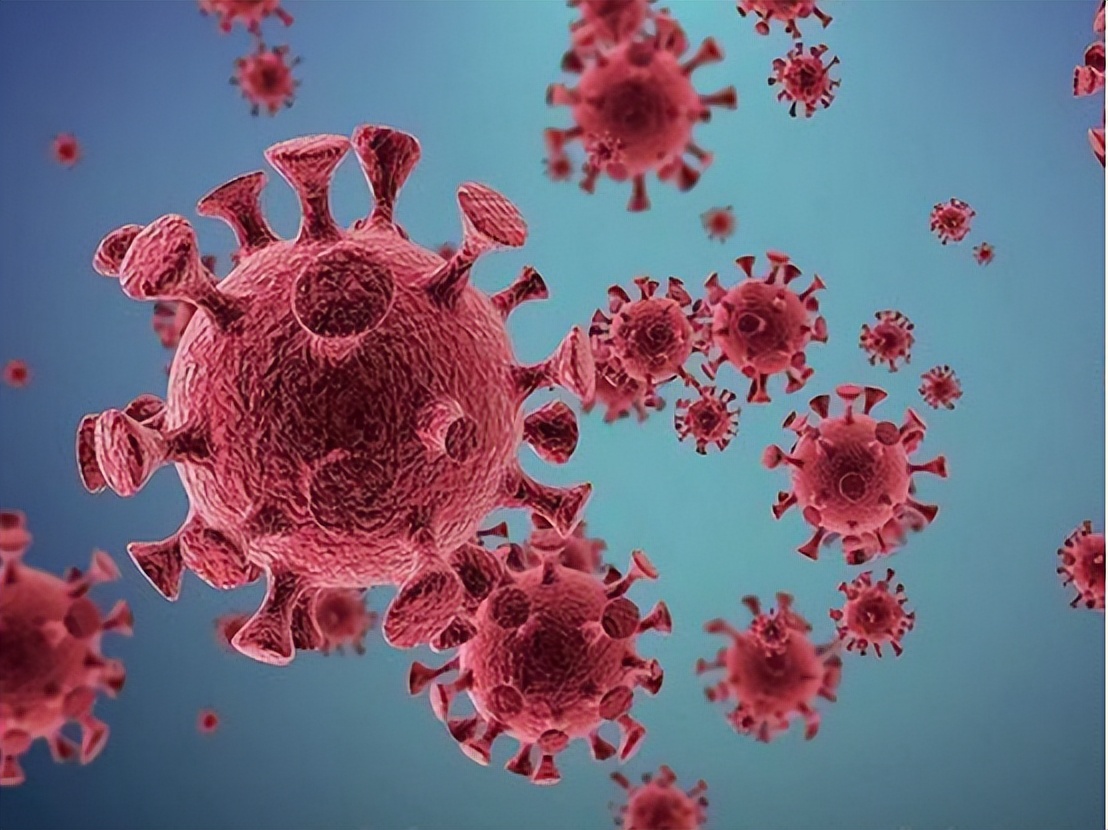 靠“国难财”登顶富豪榜，疫情时期狂赚222.8亿，网友：该