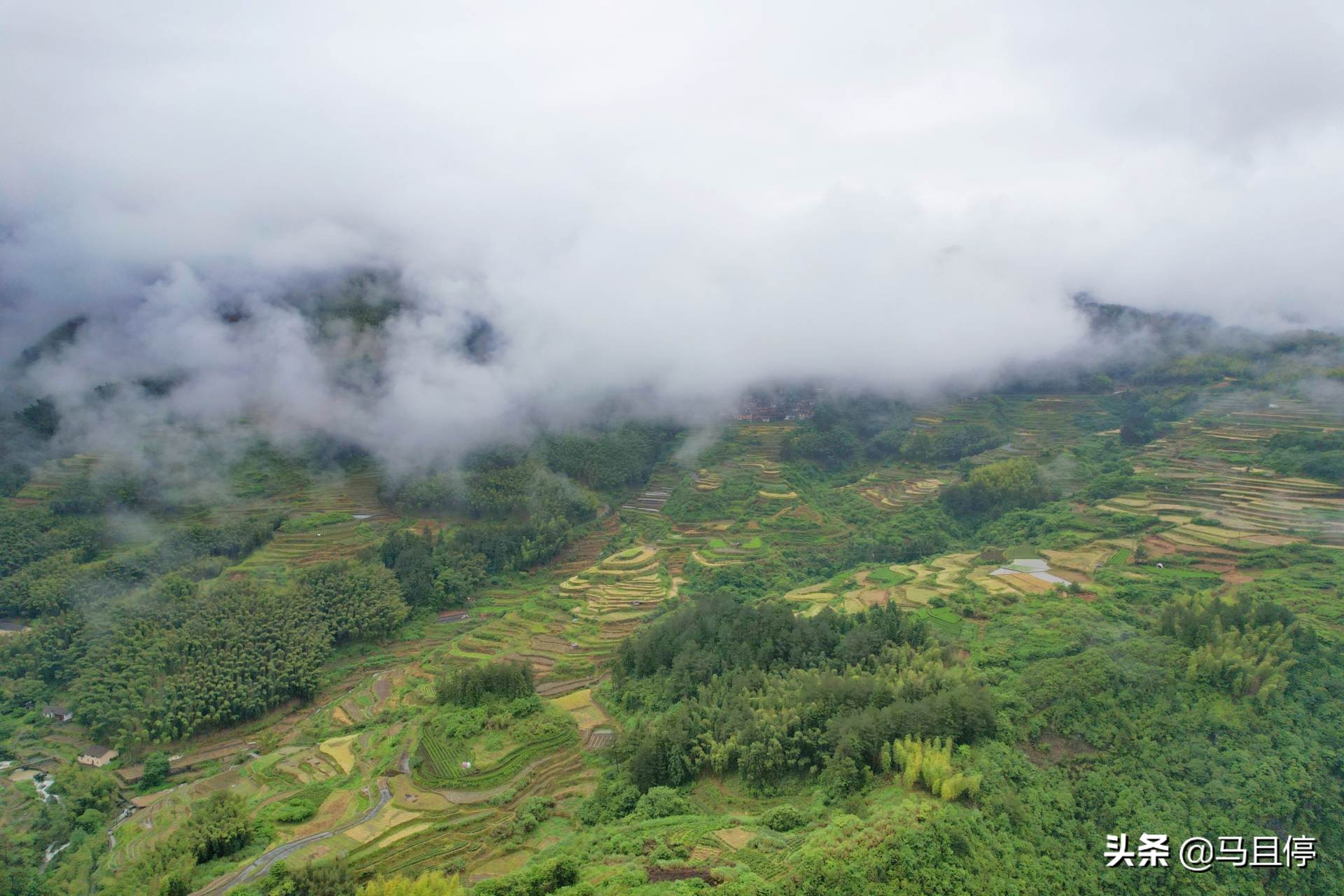 浙江丽水遂昌四天三夜,三天两夜浙江丽水旅游攻略
