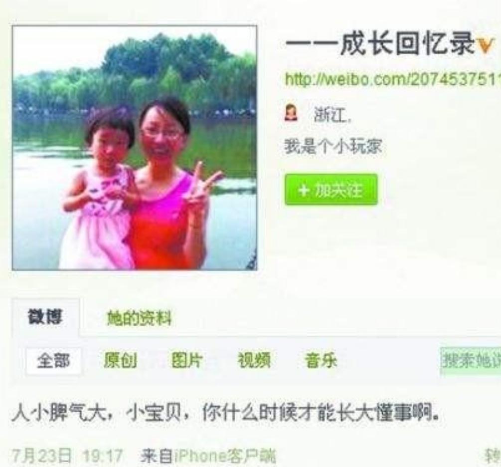 小伊伊温州动车,温州小伊伊事件