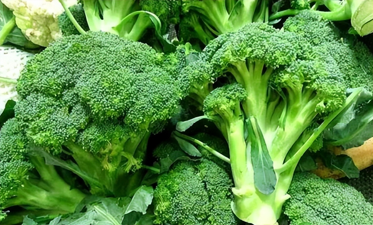 40岁吃叶酸片有什么作用,45岁以上女性吃叶酸会怎样