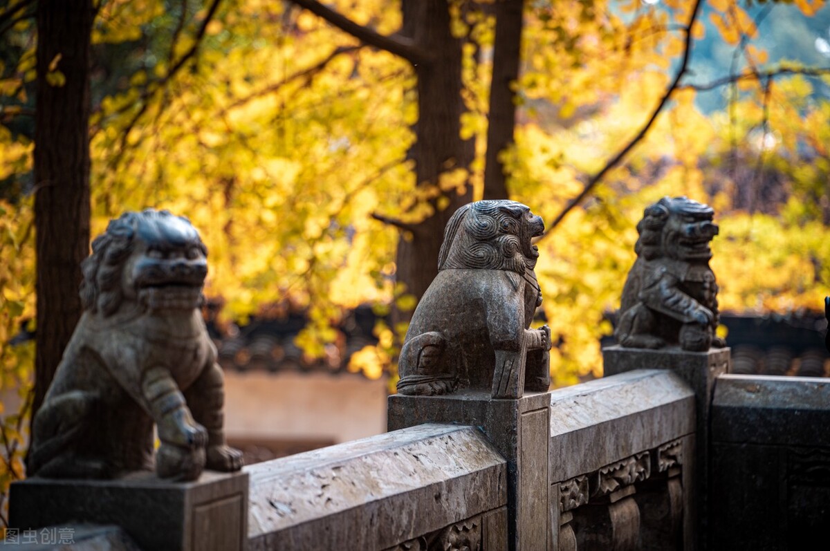秋天的苏州必去的景点,苏州秋天小众景点推荐