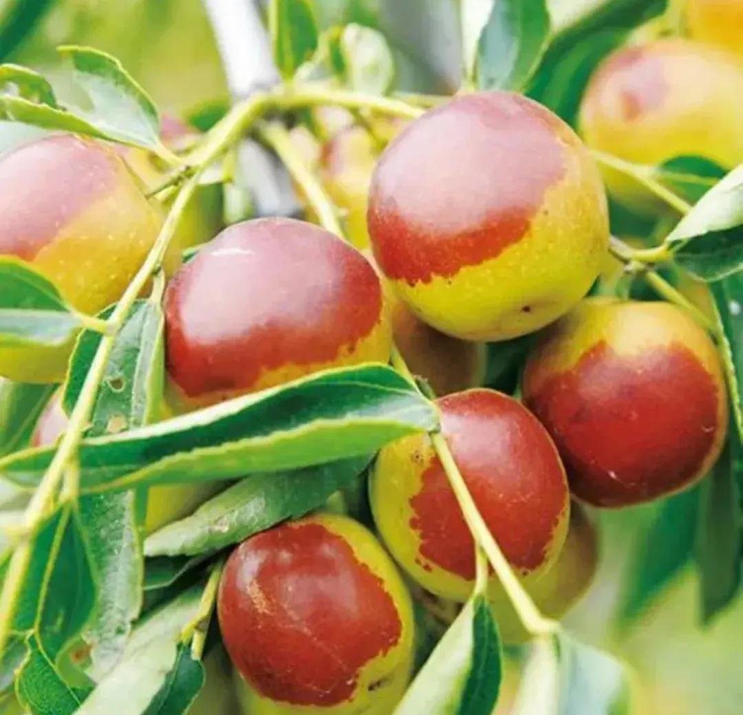 没文化做生意,做生意是做文化吗