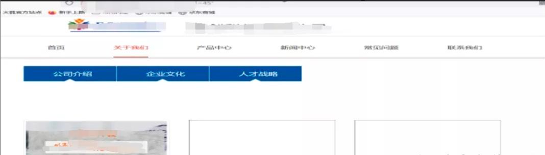 渗透测试中的漏洞挖掘与利用技术,渗透测试全套教程从原理到实战