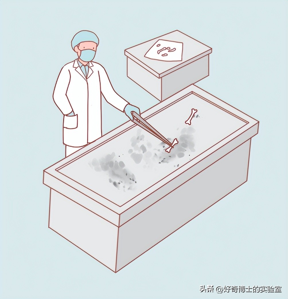 沉浸式体验出殡,详细观察遗体火化