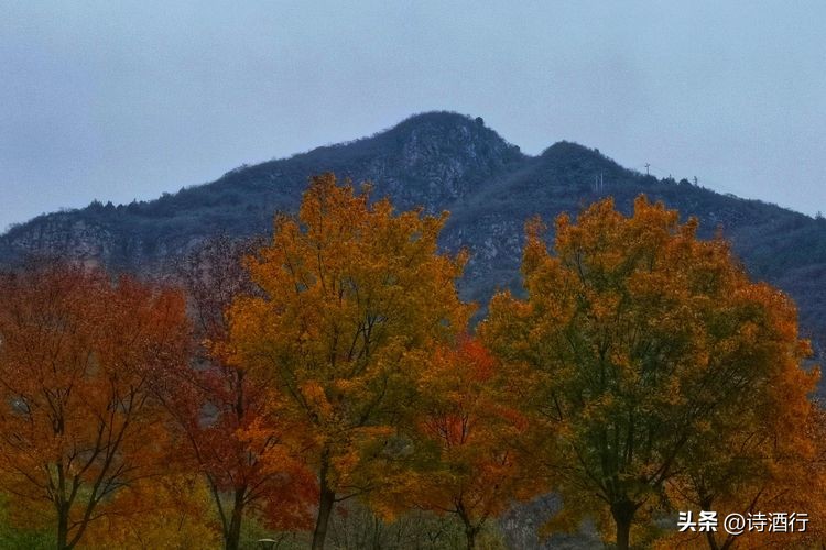 又入冬了还有遗憾吗,又到了瑟瑟发抖的季节
