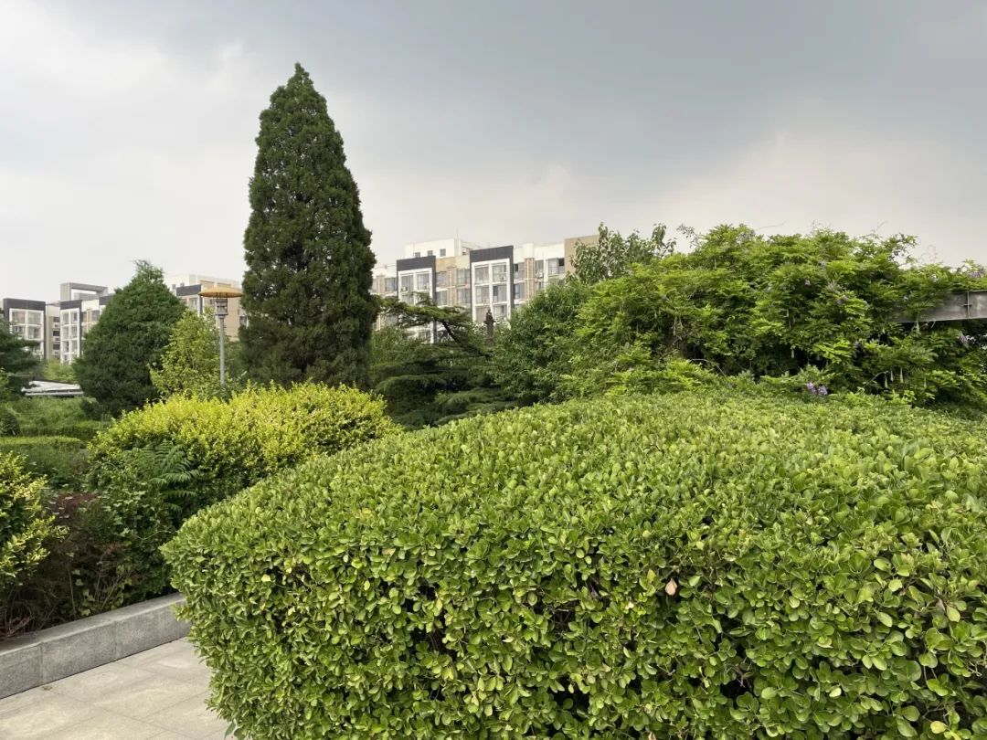 深度｜“烤验”玻璃穹顶：看起来很美，用着也要美