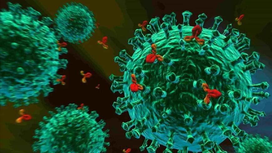 罕见恶性肿瘤肉瘤科普,软组织恶性肉瘤是癌症吗