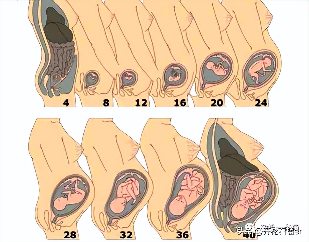 不懂经常摸自己孕肚没事吧,怎么摸肚子能感觉到胎儿在动
